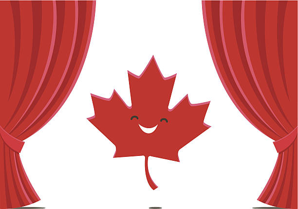 śmieszna flaga kanady - flag canadian flag patriotism national flag stock illustrations