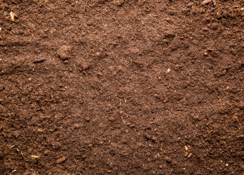 Fresh brown soil background. Close up