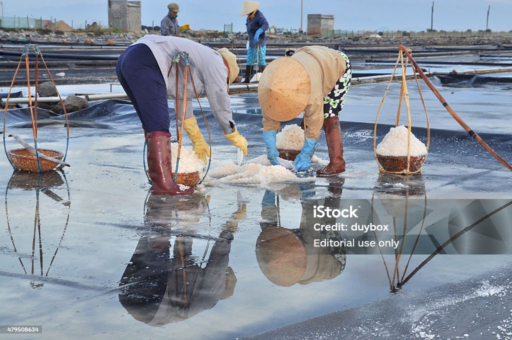 Vietnamese women are burdening hard to collect salt Ninh Hoa, Vietnam - March 2, 2012: Vietnamese women are burdening hard to collect salt from the extract fields to the storage fields 2015 Stock Photo