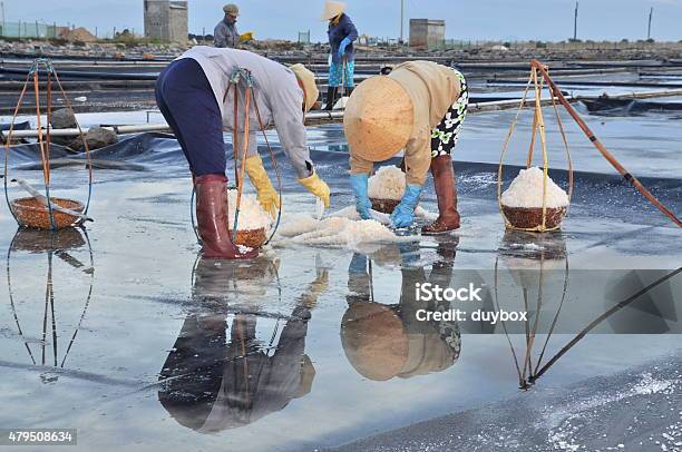 Vietnamese Women Are Burdening Hard To Collect Salt Stock Photo - Download Image Now