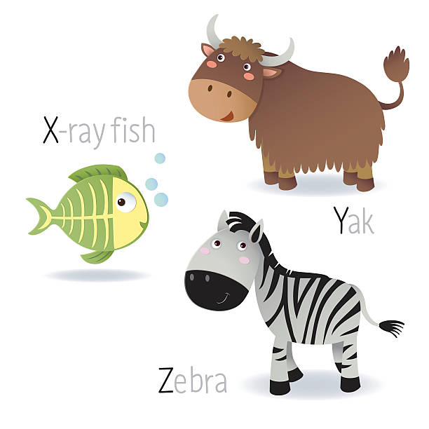 Alphabet With Animals From X To Z Stock Illustration - Download Image Now -  Alphabet, Animal, Animals In The Wild - iStock