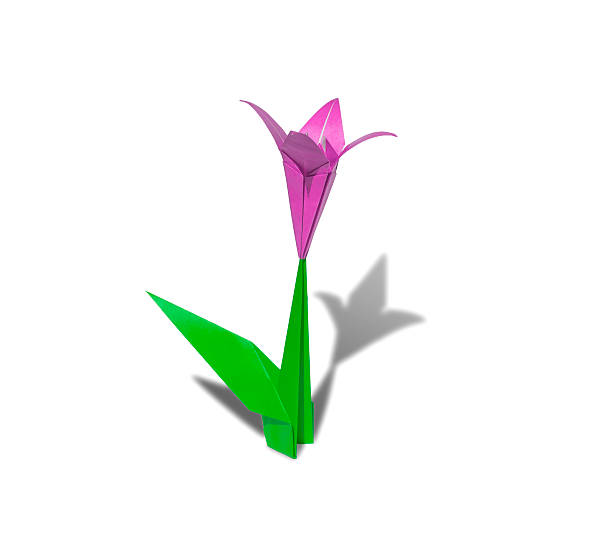 istock Pink Origami flower lily isolated 479509563
