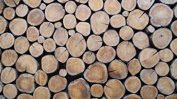 istock background of wood logs 479512260