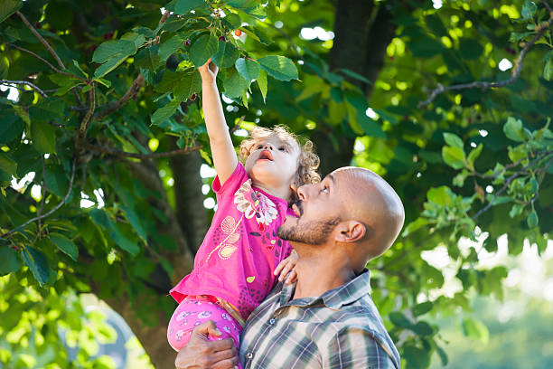 istock Father and daughter picked fresh organic fruits on a tree 479514838