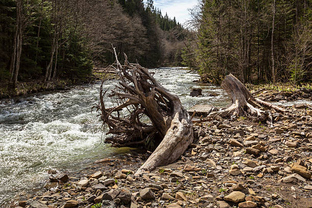 горы, реки воды, камни, корни деревьев - waterfall river stream mountain стоковые фото и изображения