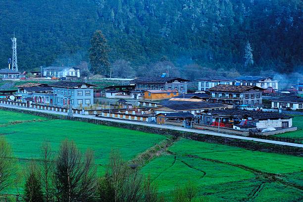 Nyingchi village in the morning.