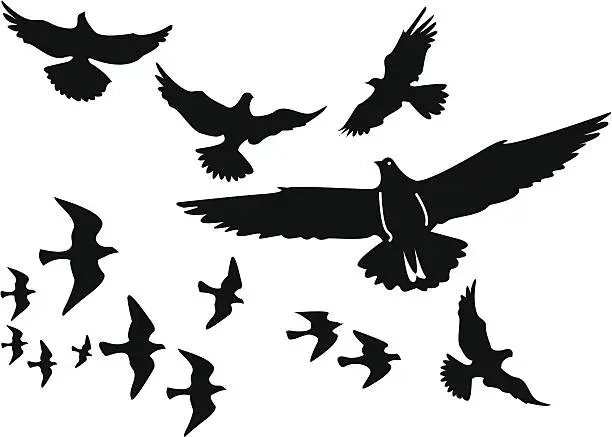 Vector illustration of Vector birds silhouettes
