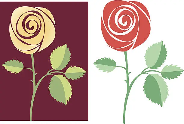 Vector illustration of Two vector roses