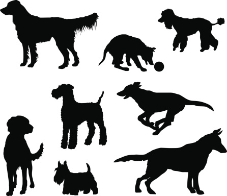 Freehand drawings of the dogs in my family. Files included: EPS, AI 8, Freehand 10, PNG and huge JPG.