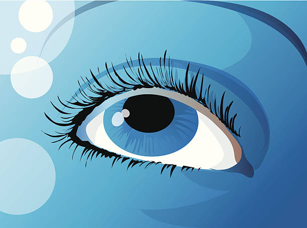 ilustrações de stock, clip art, desenhos animados e ícones de look! - blues eyes