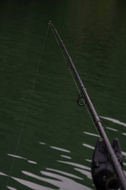 istock River fishing rod. 479519066