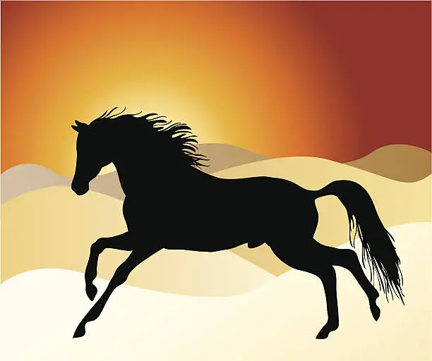 Vector illustration of Arabian horse