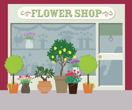 Shop with lots of plants and flowers inside and outside.