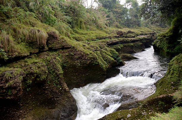 Rio de montanha - foto de acervo