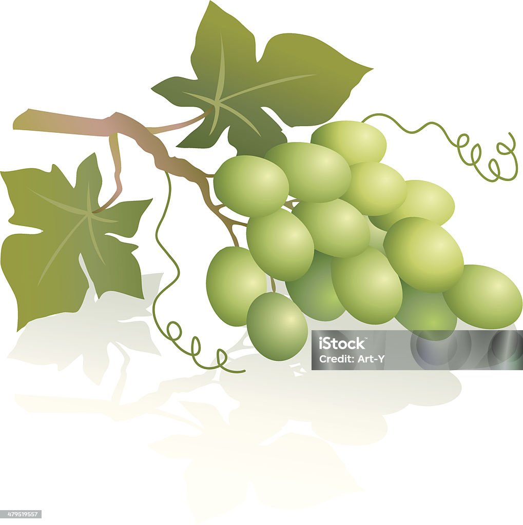 Raisins vert - clipart vectoriel de Raisin blanc libre de droits