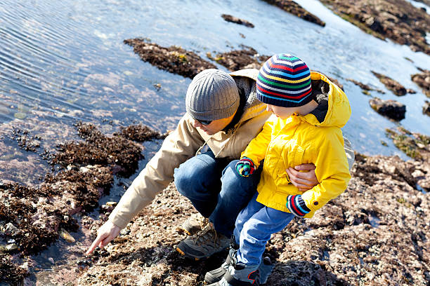 istock family at tide pools 479523223