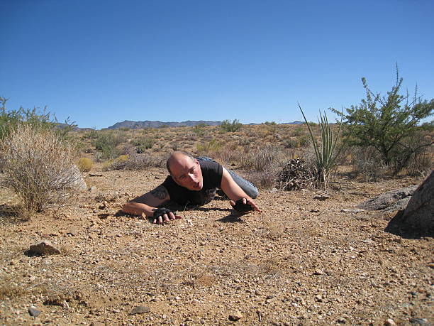砂漠の授ける - 這う　男性 ストックフォトと画像