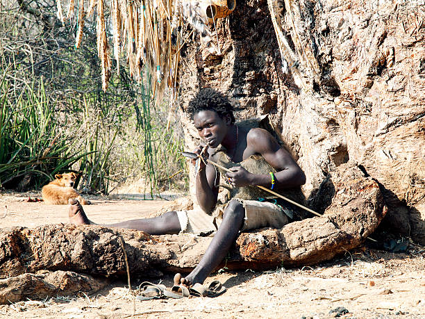 Hadzabe  young bushman making the arrow for a hunting bow Hadzabe (or Hadza) young bushman making the arrow for hunting bow. The Hadzabe are an indigenous ethnic group in north-central Tanzania, living around Lake Eyasi in the central Rift Valley and in the neighboring Serengeti Plateau. The population of Hadza tribe just under 1000 persons. Endangered tribe. They are among the last hunter-gatherers in the world. bushmen stock pictures, royalty-free photos & images