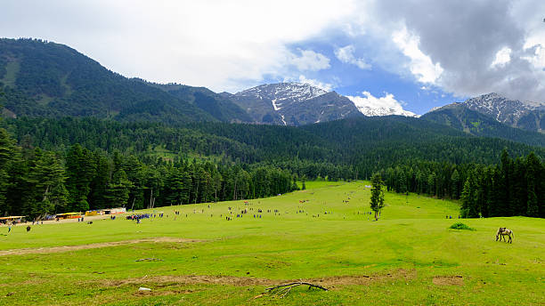 istock Students enjoy on vacation at View point of Pahalgam, India 479527588