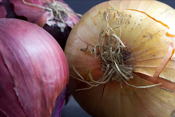 istock Close up of red and white onions 479527720