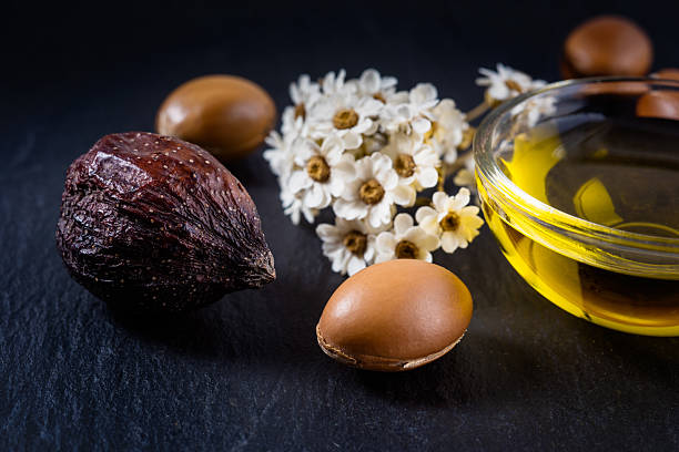 Argan seed and fruit with argan oil stock photo