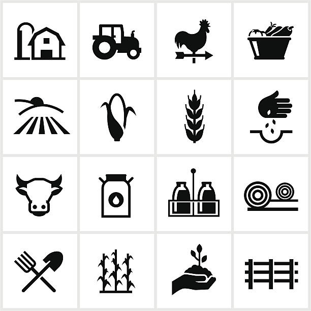 ilustraciones, imágenes clip art, dibujos animados e iconos de stock de iconos de la agricultura y la agricultura - weather vane illustrations