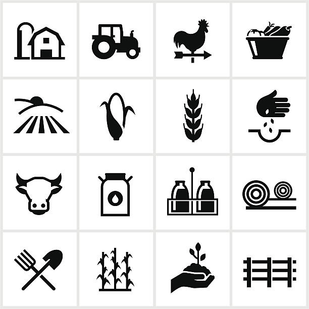 Farming and Agriculture Icons Farming and agriculture related icons. All white strokes and shapes are cut from the icons and merged. a farm stock illustrations