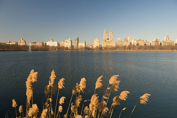 istock Central Park, New York City 479533258