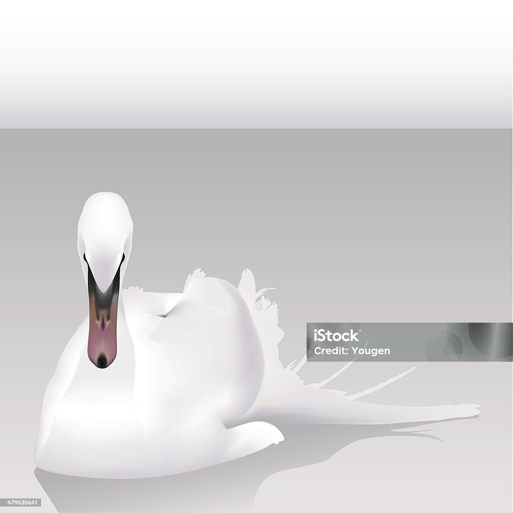 Cisne blanco (vector - arte vectorial de Cisne libre de derechos