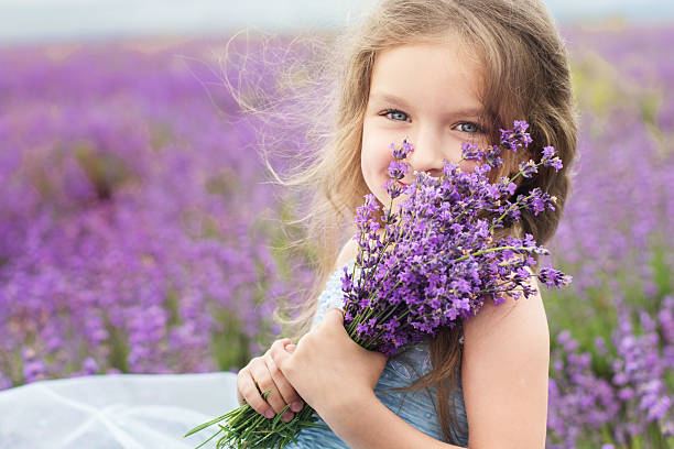 Happy little girl in lavender field with bouquet stock photo