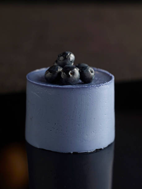 myrtille panna cotta - gelatin dessert blueberry blue dessert photos et images de collection