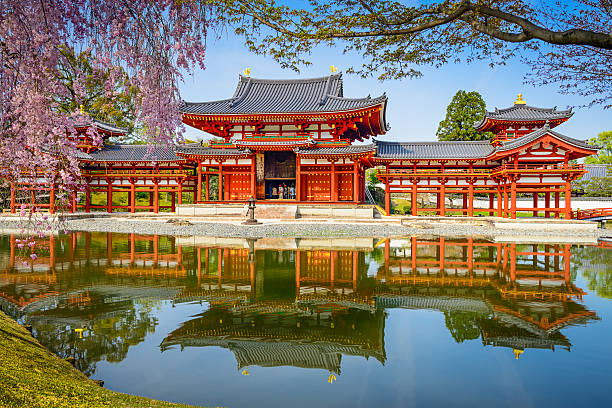 tempio di byodoin in primavera - shinto japan temple nature foto e immagini stock