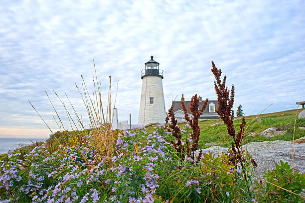 The lighthouse at Pemaquid Point, Maine with cloudy sky above and assorted native foliage in the foreground.