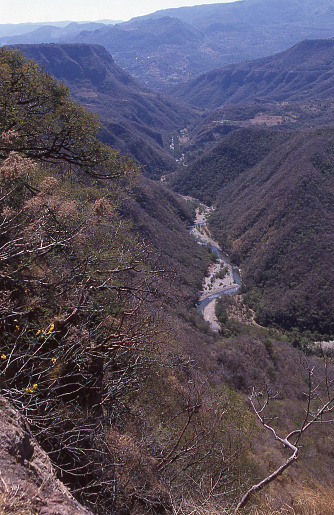 Deep canyon in dry forest region of Pacific Coastal Area south of Cuernavaca Mexico