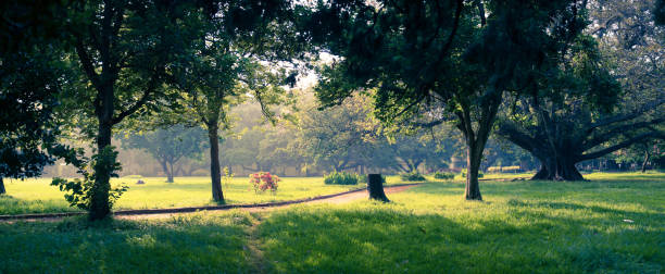 бангалор city scape - lalbagh стоковые фото и изображения