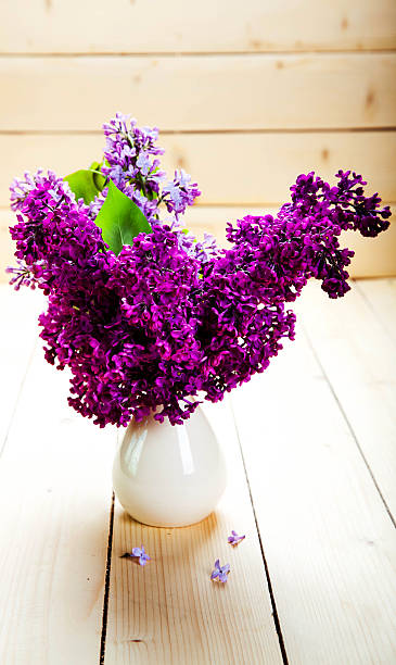 istock Lilac Bouquet in ceramic jug against a white wooden wall. 479560668