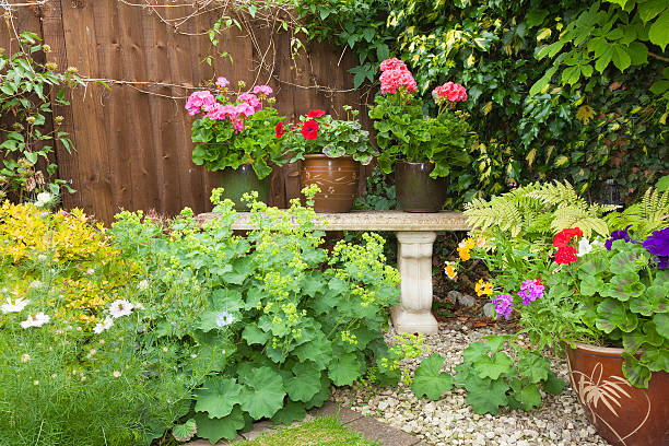 istock Colorful potted plants in garden corner with a stone bench. 479561316