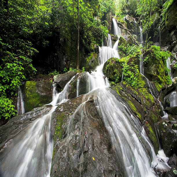 場所を千垂らしグレートスモーキー山脈国立公園 - waterfall great smoky mountains great smoky mountains national park tennessee ストックフォトと画像