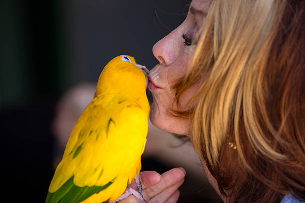 istock Green and Yellow Parrot at a Community Gathering 479563268