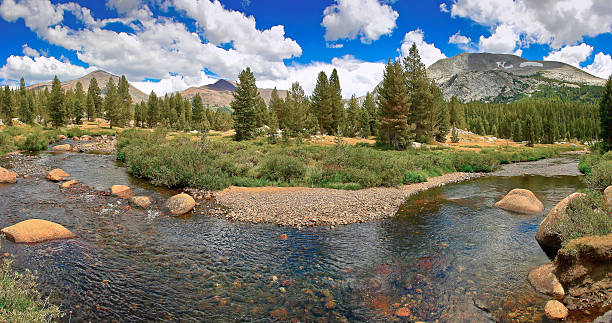 istock Mountain River in California 479565922