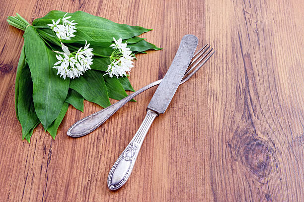 wild garlic (Allium ursinum) and antique silverware wild garlic (Allium ursinum) and antqize kitchen knife with fork. copy space on right side. zigeunerlauch stock pictures, royalty-free photos & images