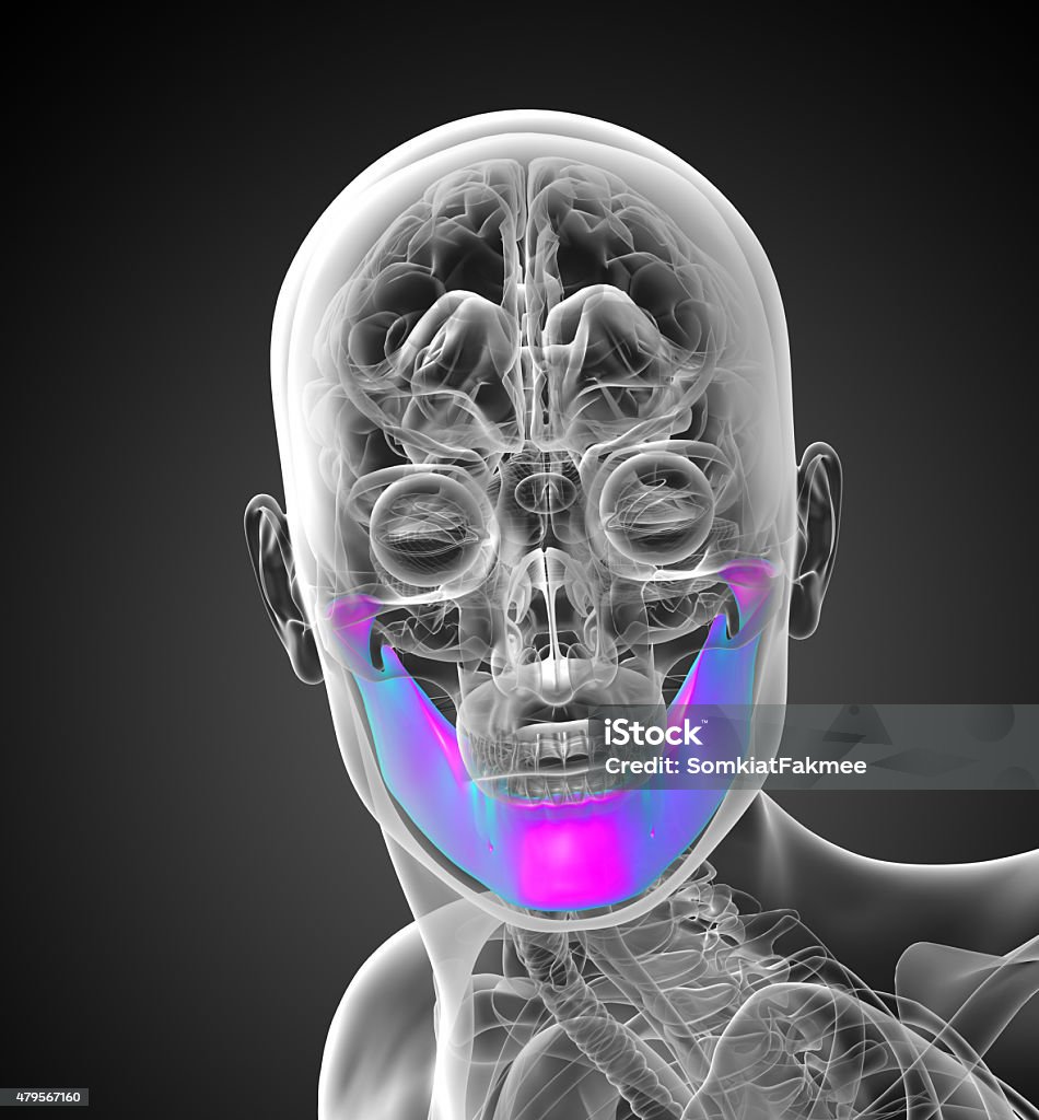 3 D 렌더링됨 일러스트레이션 턱뼈 2015년에 대한 스톡 사진 및 기타 이미지 - 2015년, 3차원 형태, 건강관리와 의술 ...