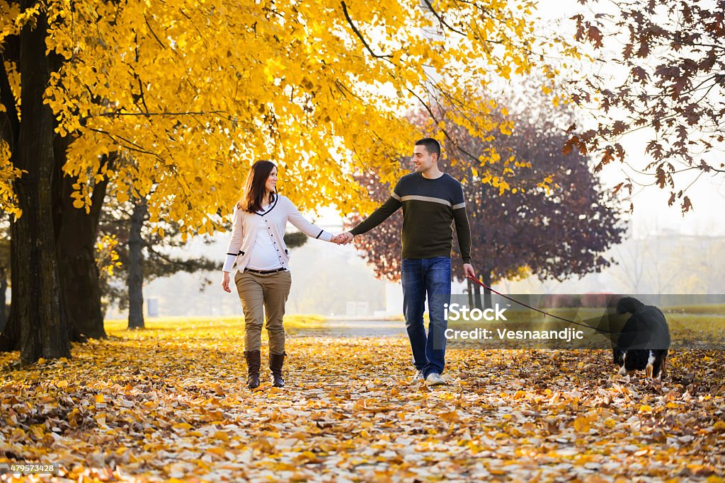 Cheerful family with dog outdoor Cheerful young family, woman is pregnant, with their beautiful Bernese Mountain dog on sunny autumn day walking. 12-23 Months Stock Photo