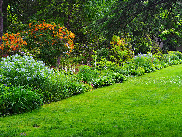 Green lawn with bordering garden. For more of my flowers (CLICK HERE)