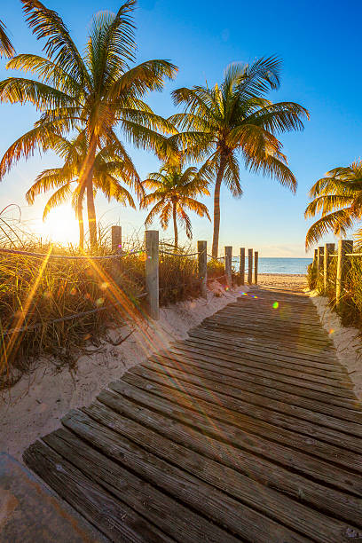 istock Passage to the beach at sunrise 479575345