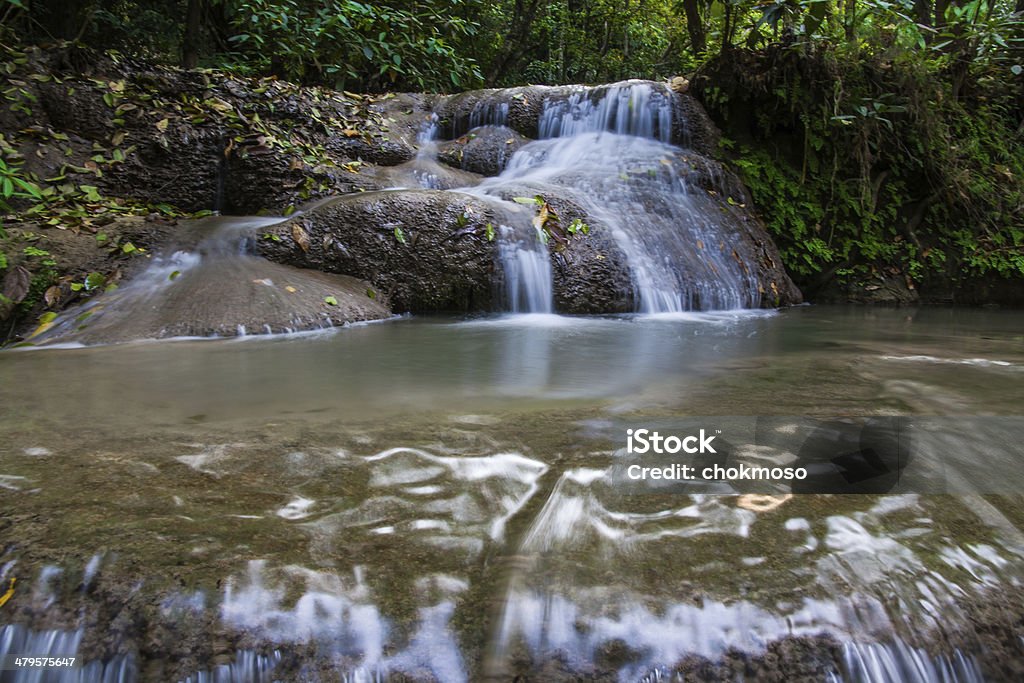 cascata - Foto de stock de Arbusto royalty-free