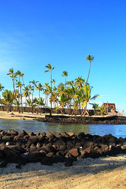 istock Hawaii Beach and Coconut Palm Trees 479584493