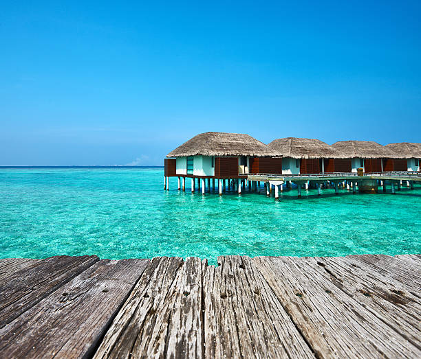 istock Beautiful beach with water bungalows 479585468