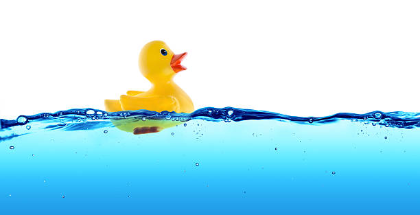 gomma anatra di nuoto in acqua blu-concetto positivo - rubber duck foto e immagini stock