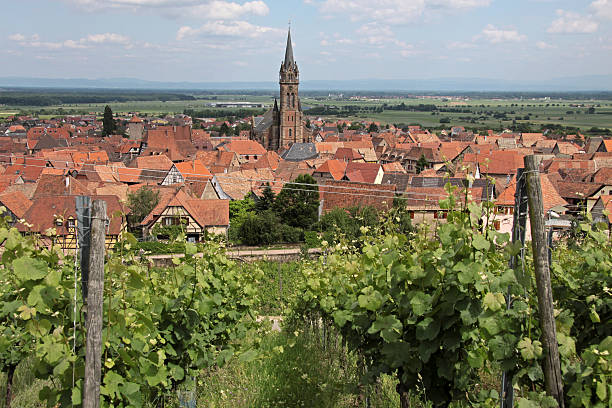 istock Village with vineyards 479594244